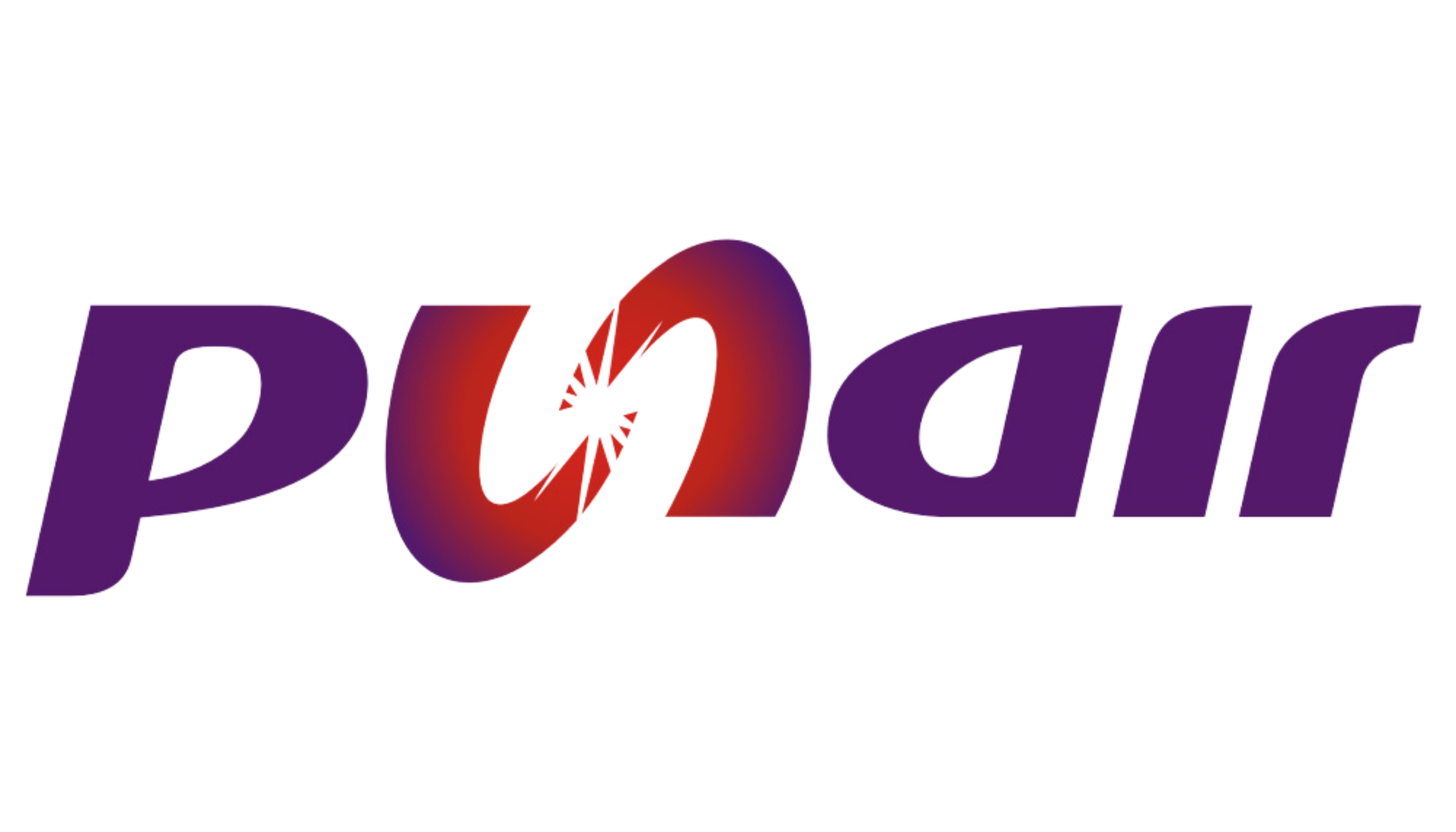 Punair Logo